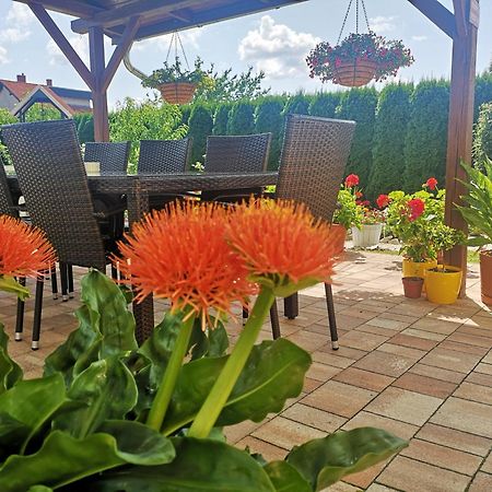 Hotel Zsuzsi Vendégház Zalaegerszeg Esterno foto