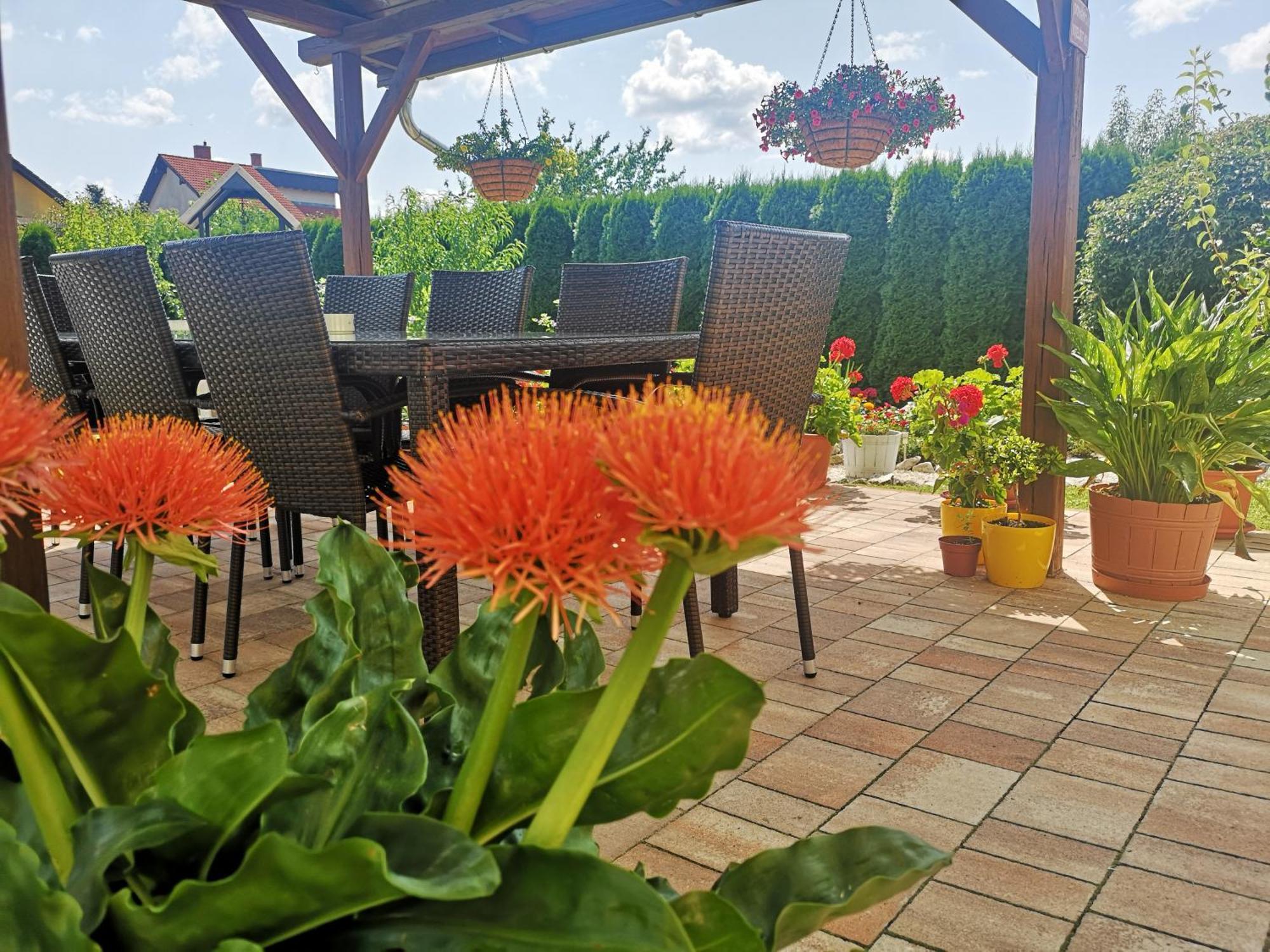 Hotel Zsuzsi Vendégház Zalaegerszeg Esterno foto